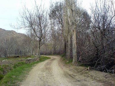 سنجان: صحرا