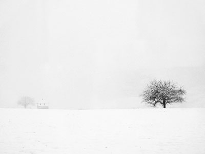 Minimal winter